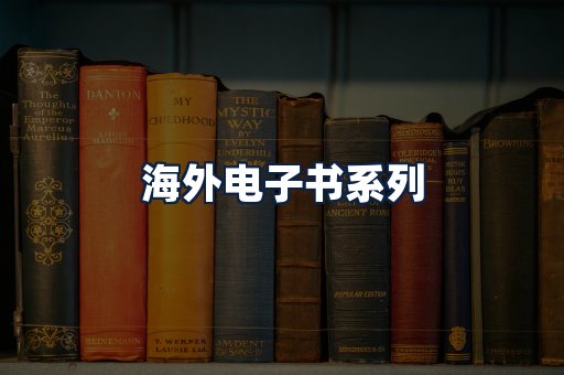 海外电子书